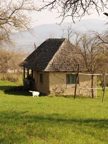 Foto A fost odata in Vranicioaia (c) Petru Goja